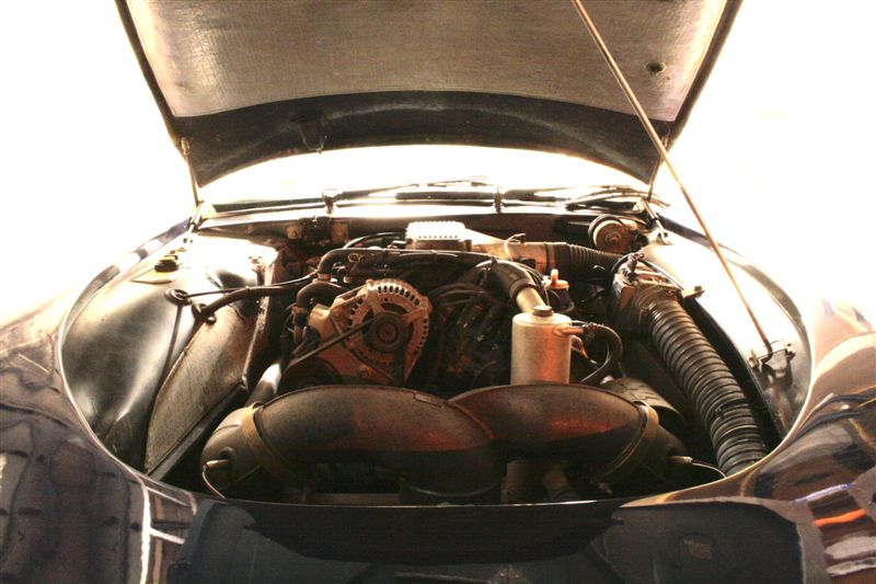 TVR , Griffith , 500, 5 litre, V8, engine 